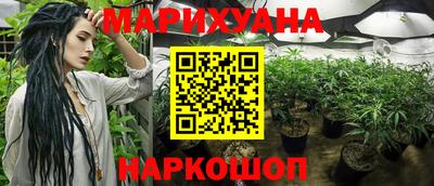 винт Будённовск